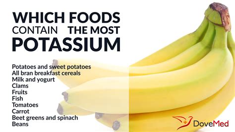High potassium foods include leafy green vegetables, fish, white beans, avocados, potatoes, acorn squash, milk, mushrooms, bananas, and cooked below is a list of high potassium foods ranked by common serving sizes, for more see the lists of high potassium foods by nutrient density, more. Which Foods Contain The Most Potassium?