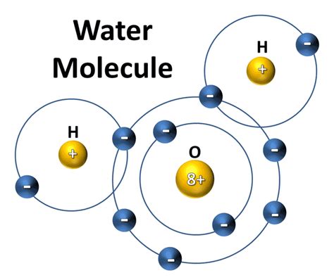 Water Molecules Polarity