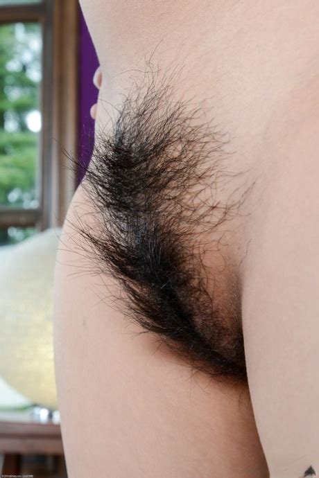Hairy Asian Pussy Hot Hairy Women