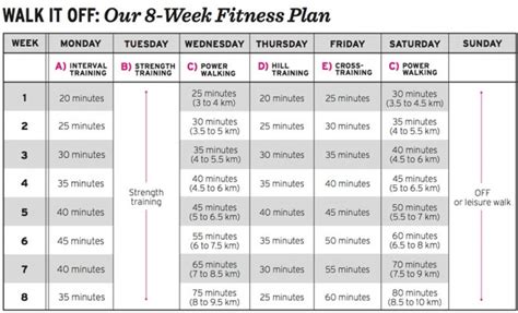 beginner workout plan 8 weeks