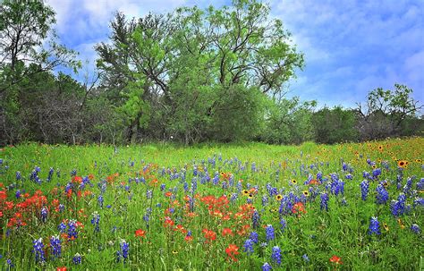 Beautiful Texas Spring Photograph By Lynn Bauer Pixels