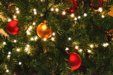 Christmas Tree Lights Detail Free Stock Photo Public Domain Pictures