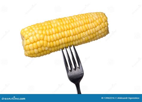 Maize On Fork Macro Stock Photo Image Of Meal White 13962216