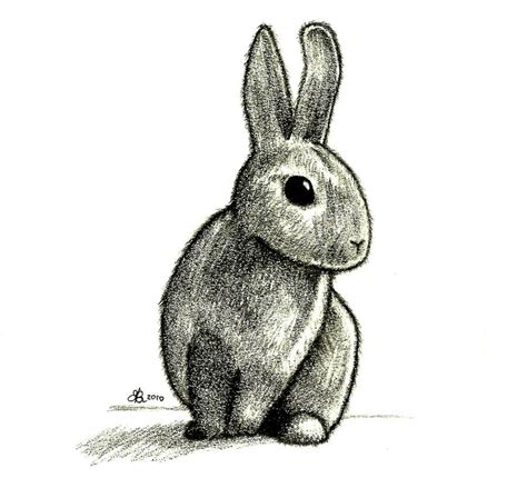 Rabbit Drawing By Aquarius Galuxy On Deviantart