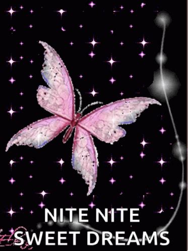 Nite Butterflies GIF Nite Butterflies Sparkles Discover Share GIFs