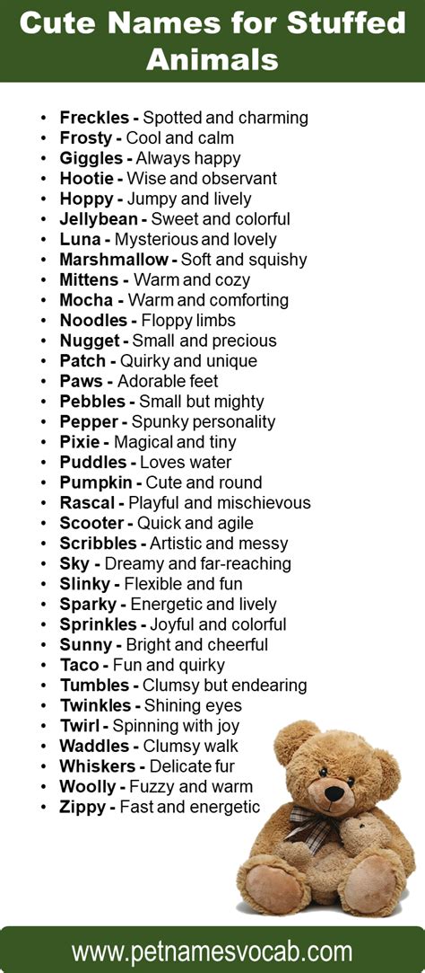 Names For Stuffed Animals Cute Unique And Funny Pet Names Vocab