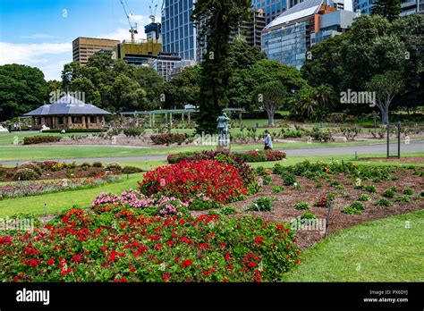 The Royal Botanic Garden In Sydney City Centre New South Wales