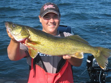 Big Walleye Caught On Lake Michigan Green Bay In Green Bay Wi On 8