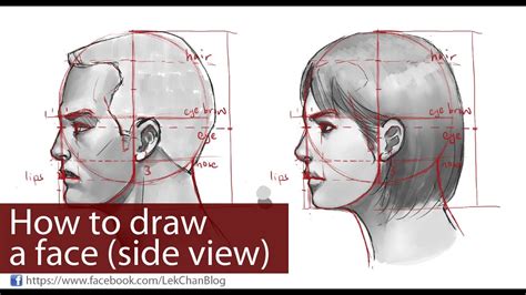 How To Draw A Face Side View Youtube