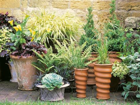Plantscaping A Deck Or Patio Garden Pots Garden Containers Patio Pots