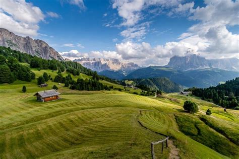 Top 12 Interesting Facts About The Dolomites Animal Stratosphere