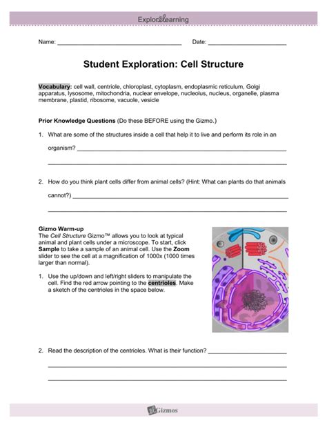 Play this game to review science. Student Exploration Sheet: Growing Plants