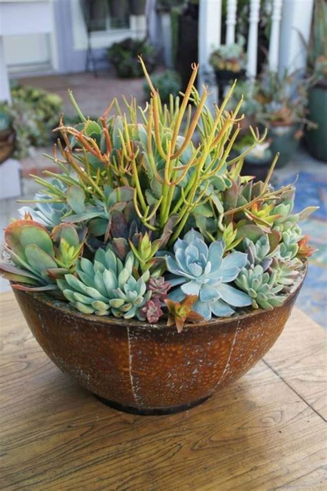 40 Magnificient Succulent Plants Ideas For Indoor And Outdoor In