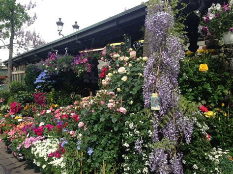Fan du shabby chic de rachel ashwell, je collecte, au gré de mes voyages, des ambiances surprenantes, chics et ch. Bird and Flower Market on a Parisian Sunday