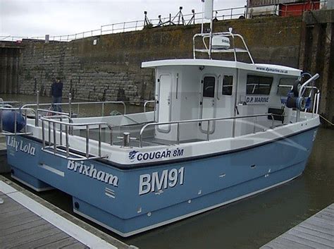 Offering the best selection of boats to choose from. PR Boat: Cougar catamaran 8m boat