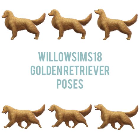 Willowsims18 Golden Retriever Poses 6 Large Ts4 Pets Cc Finds