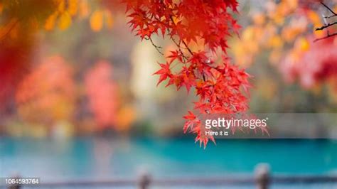 Goshiki Lake ストックフォトと画像 Getty Images