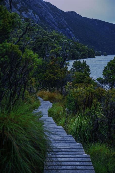 Cradle Mountain In Tasmania On A Cloudy Day Stock Photo Image Of