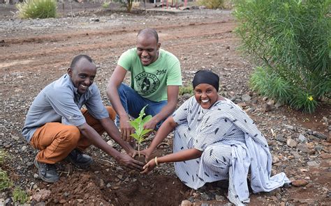 World Environment Day 2020 Lake Turkana Wind Power