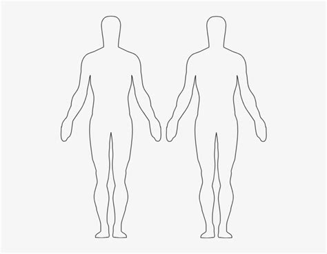 Image Result For Body Outline Body Outline Outlines Figure Drawing