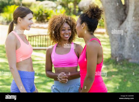 Group Of Friends Talking With Each Other Stock Photo Alamy
