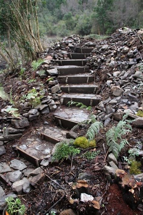 Hermosa escalera de piedra laja en el jardín Escaleras de piedra