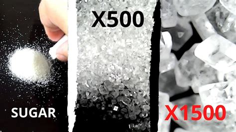 How It Looks Sugar At Amazing X500 X1500 Zoom 4k Under The Microscope