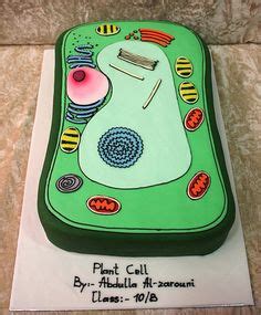 I'm in 8th grade and i'm seeking out help to all those in need of plant or animal edible cell help! 1000+ images about cell cakes on Pinterest | Plant cell ...