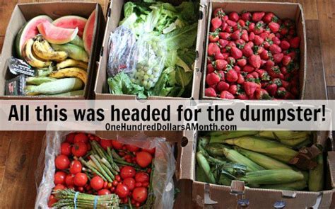 Most wasted food ends up on. Food Waste In America - Saving Fruits and Vegetables From ...