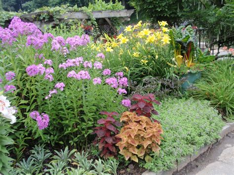 How To Turn Your Landscape In To A Cutting Garden Buck And Sons