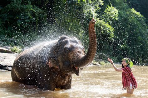 1 Day Walk And Karen Culture Chiang Mai Elephant Friends