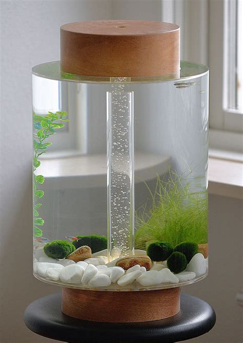 Check spelling or type a new query. 15 Unique Minimalist Ornamental Fish Aquarium Designs For ...