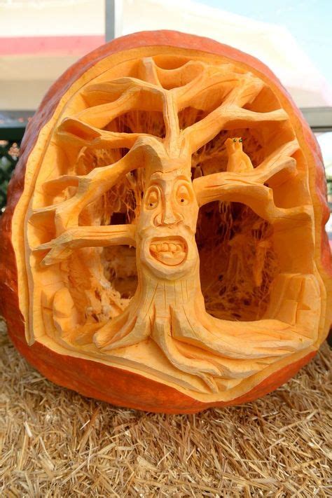 153 Best Extreme Pumpkin Carvings Images Pumpkin Pumpkin Carving