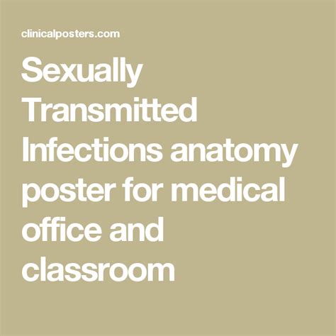 Sexually Transmitted Infections Chart 20x26 Sexually Transmitted