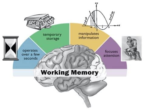 How To Improve Memory Simple Tools And Approaches Brain Smart