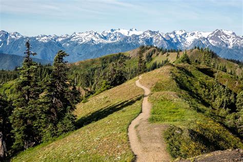 Hiking The Klahhane Ridge Trail To Mount Angeles Olympic Np Earth