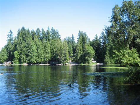 This is sammamish state park, the southern most part of the lake. Sammamish, WA : Beaver Lake during summer. photo, picture ...