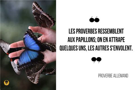 Les Proverbes Ressemblent Aux Papillons On En Attrape Quelques Uns