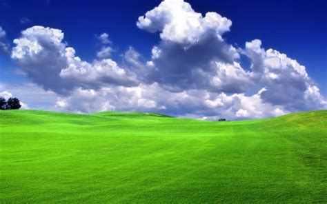 Grass Photo Windows Hd Desktop Wallpapers 4k Hd