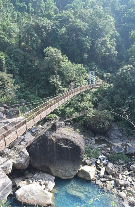Living Root Bridge Cherrapunji Entry Fee Tourist Attraction