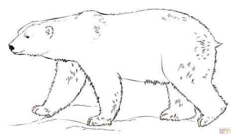 How do you print a color sheet? Get This Polar Bear Coloring Pages Printable for Kids r1n7l