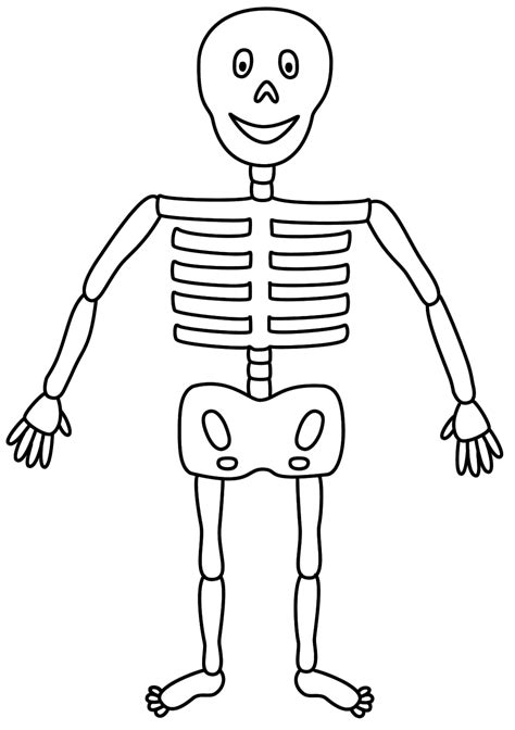 Free Skeleton For Kids Download Free Skeleton For Kids Png Images