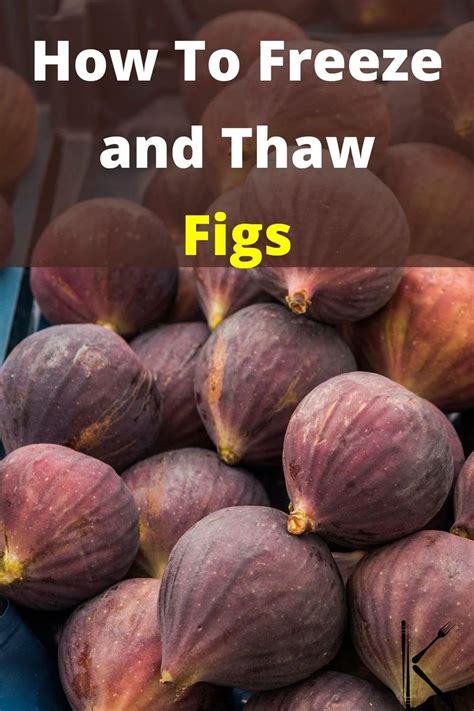 Can You Freeze Figs Fig Recipes Mission Fig Recipes Fig Fruit