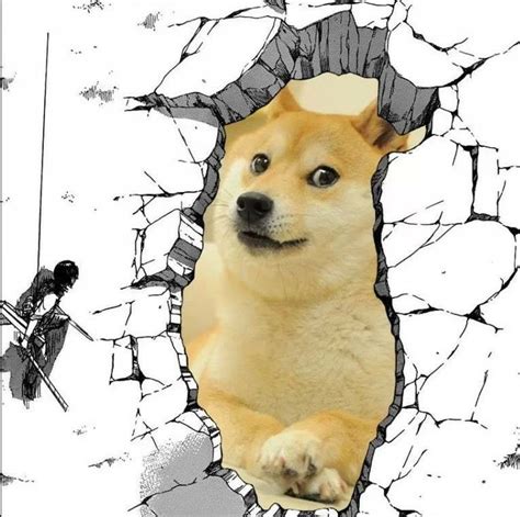 Shingeki Ni Doge E Anime Puppy Anime Doge Anime Animals