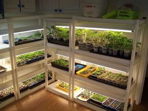 Controlled conditions of greenhouse shelves enhances the quality of the harvest. Grow Light Shelves - WoodWorking Projects & Plans