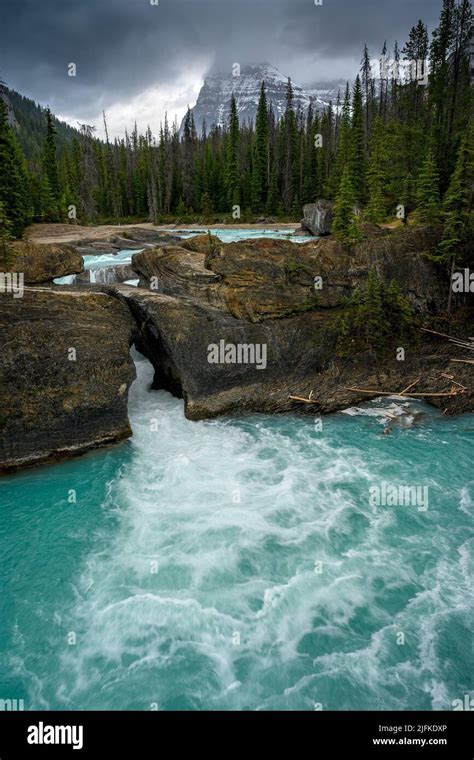 The Kicking Horse River Flows Down From The Mountains Became A