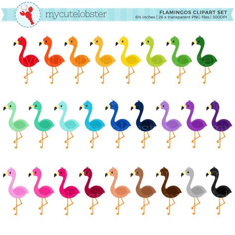 Rainbow Flamingos Clipart Set Clip Art Set Of Cute Etsy