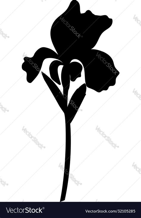 Black Silhouette A Large Iris Flower Royalty Free Vector