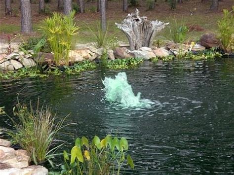 During the warm spring and summer, the dissolved oxygen levels in the pond will drop their value drastically. How to Make a Homemade Pond Aerator | Cuteness