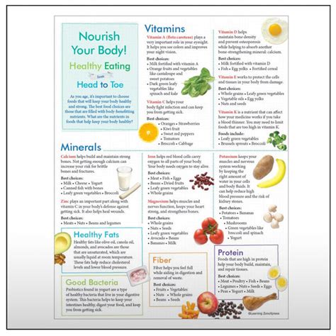 Older Adult Healthy Eating From Head To Toe Handouts Creative Health